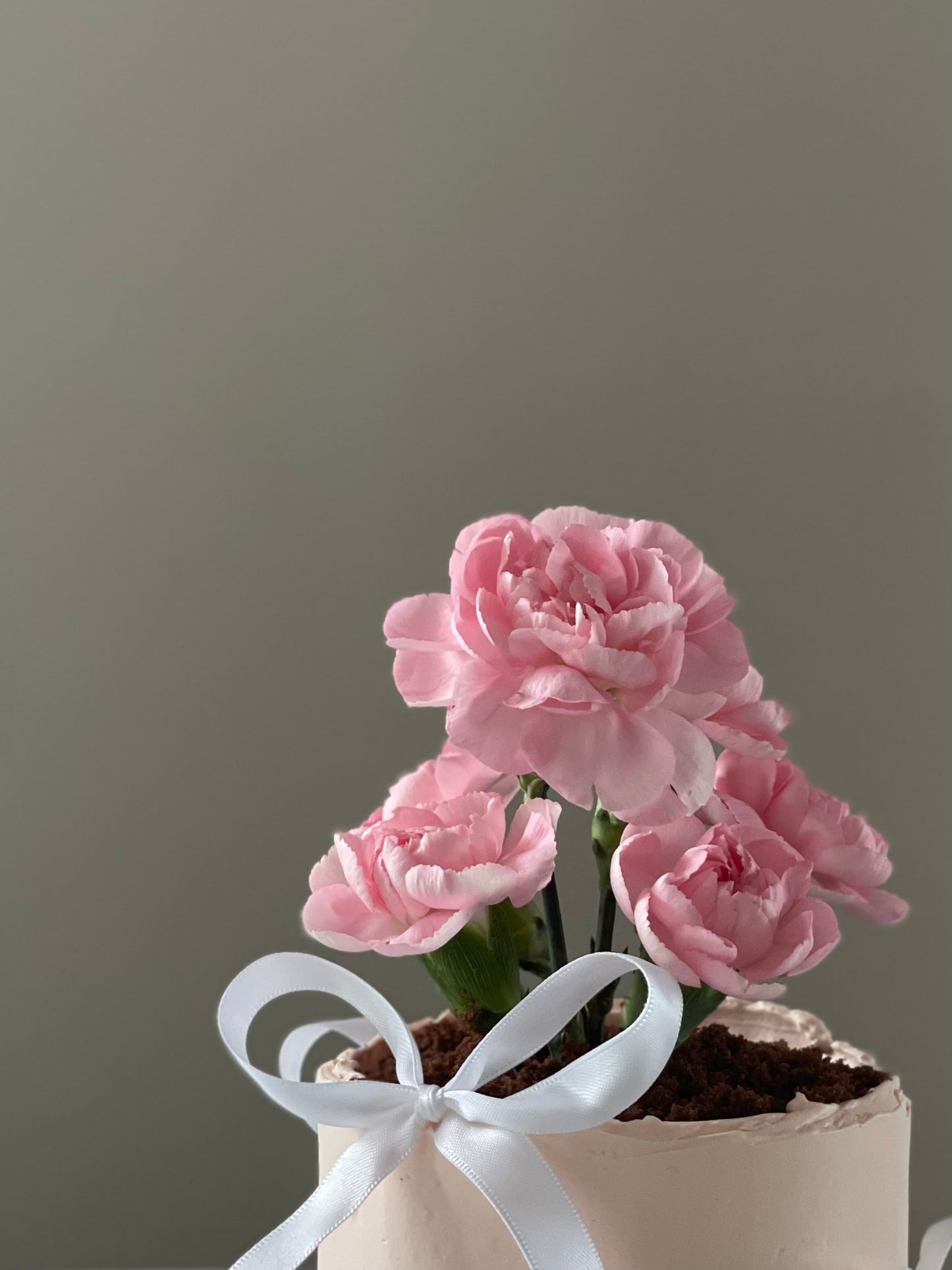 Flower Pot Cake